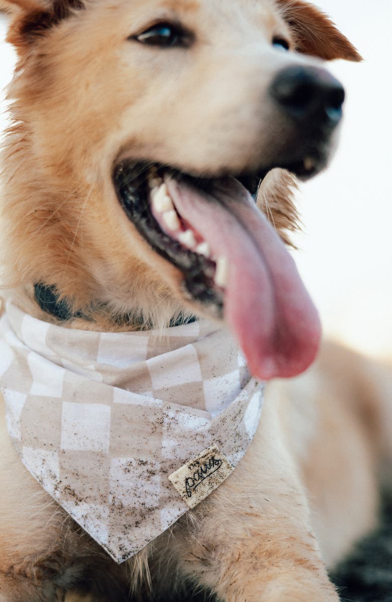 The Paws Checkers Dog Bandana, Alternate, color, Beige