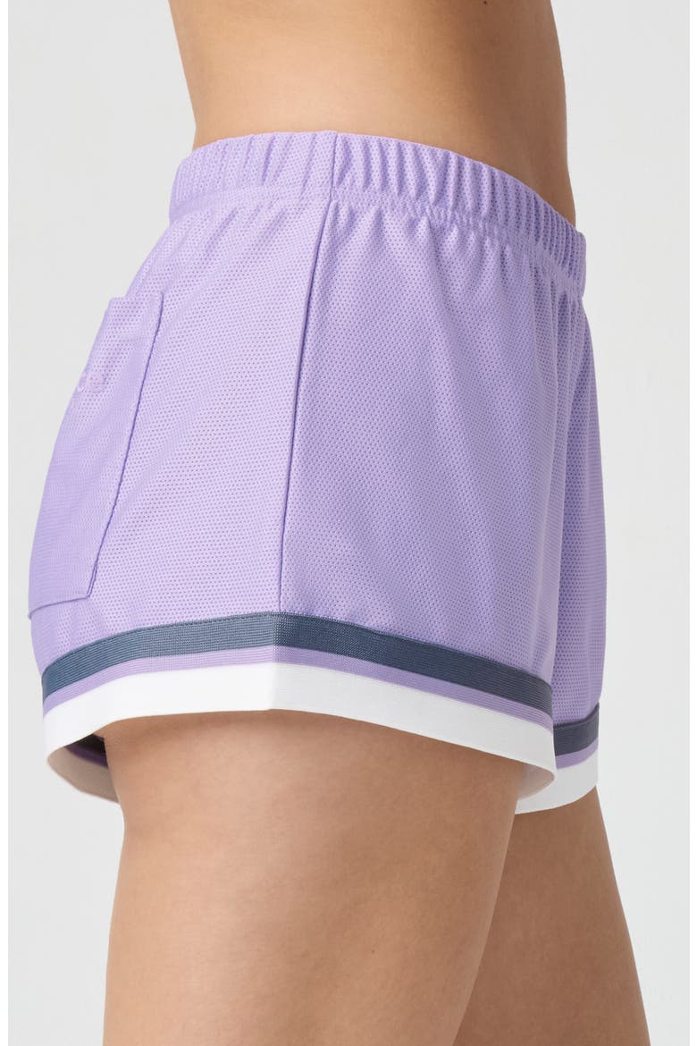 Mesh Boxer Shorts, Alternate, color, MILLIE LAVENDER