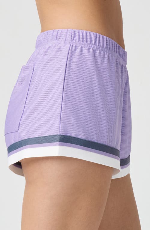 Florence By Mills Mesh Boxer Shorts In Purple