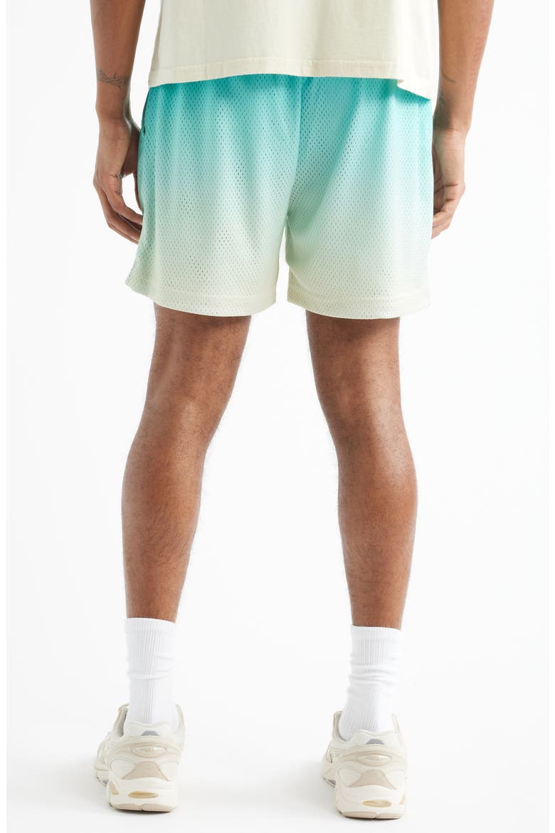 Summer Mesh Shorts, Alternate, color, BLUE