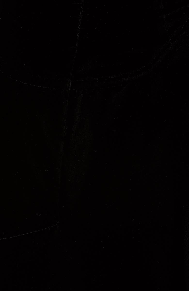 Alexander Wang Velvet Fit & Flare Minidress, Alternate, color, 