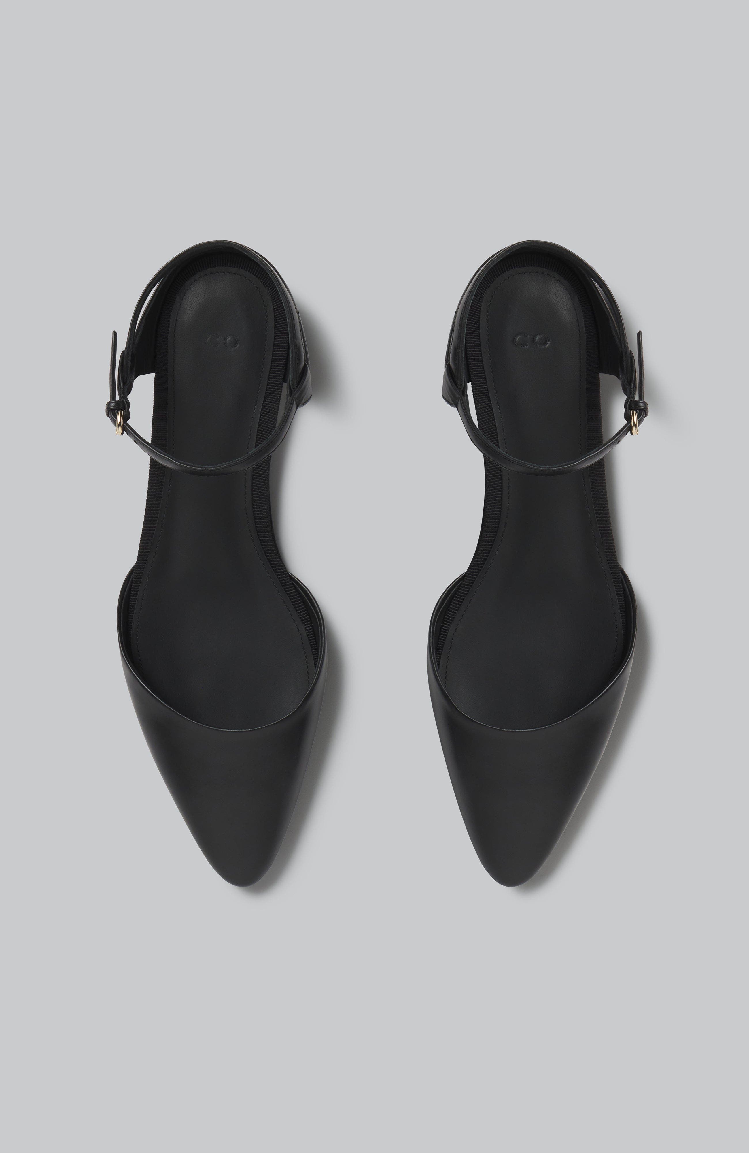 CO Slingback Pointed Toe Flat in Calfskin, Alternate, color, 