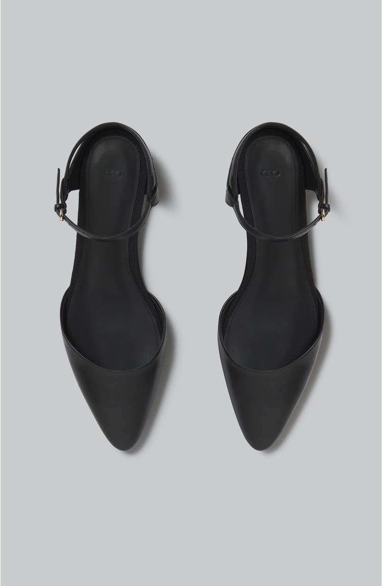 CO Slingback Pointed Toe Flat in Calfskin, Alternate, color,