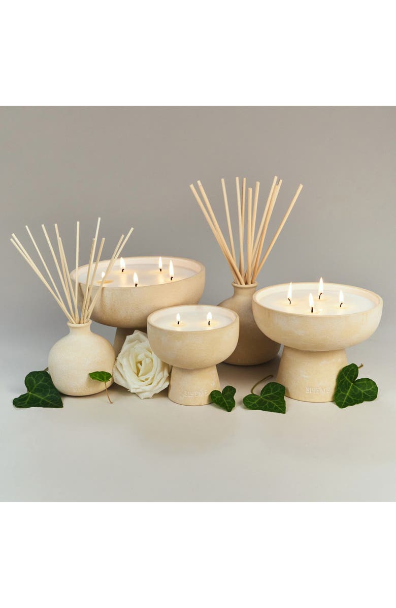 Blueme Renew Large Ceramic Reed Diffuser, Alternate, color,