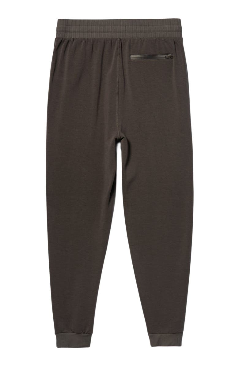 FEAT TreeCell Plush Men's Jogger, Alternate, color,