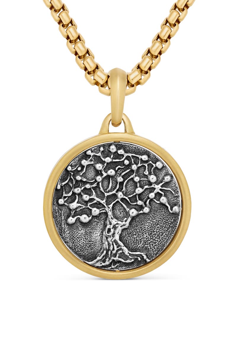 Life & Death Duality Amulet in Sterling Silver with 18K Yellow Gold, Main, color, STERLING SILVER WITH 18K GOLD