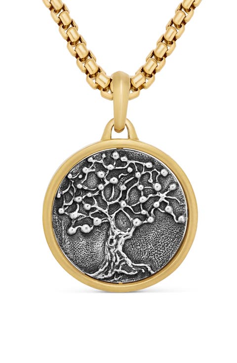 Life & Death Duality Amulet in Sterling Silver with 18K Yellow Gold