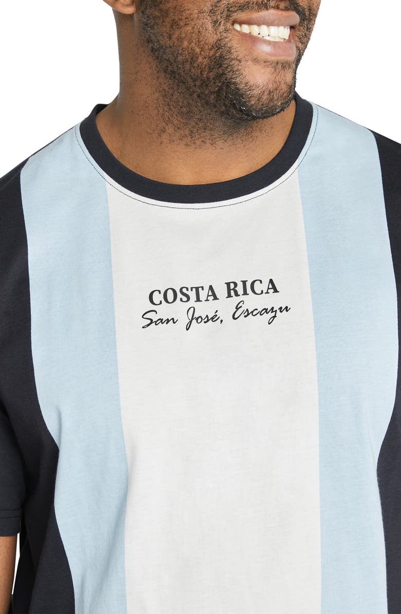 Johnny Bigg Vertical Stripe Colorblock Curve Hem Cotton T-Shirt, Alternate, color, 
