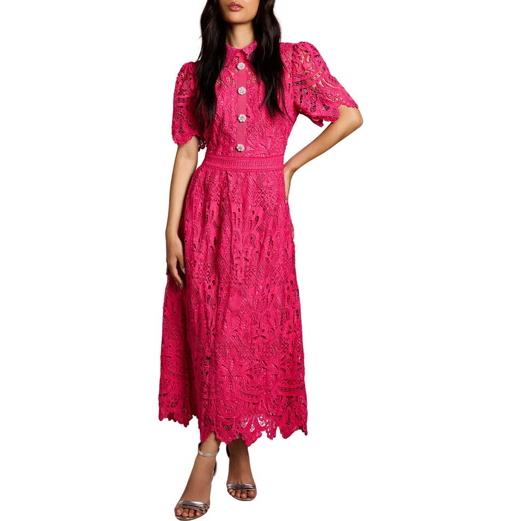 Coast Short Sleeve Collared Lace Midi Dress In Pink