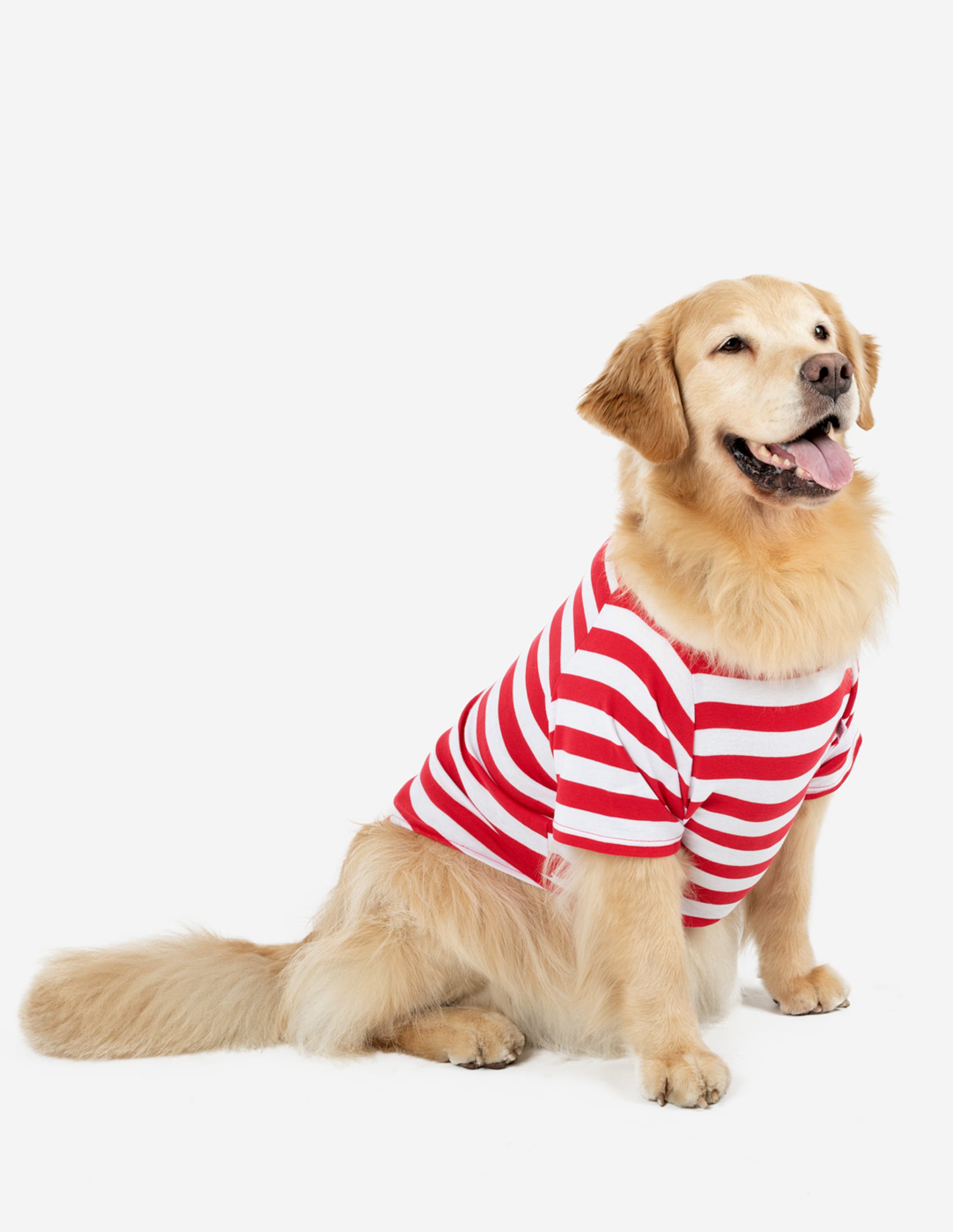 Red & White