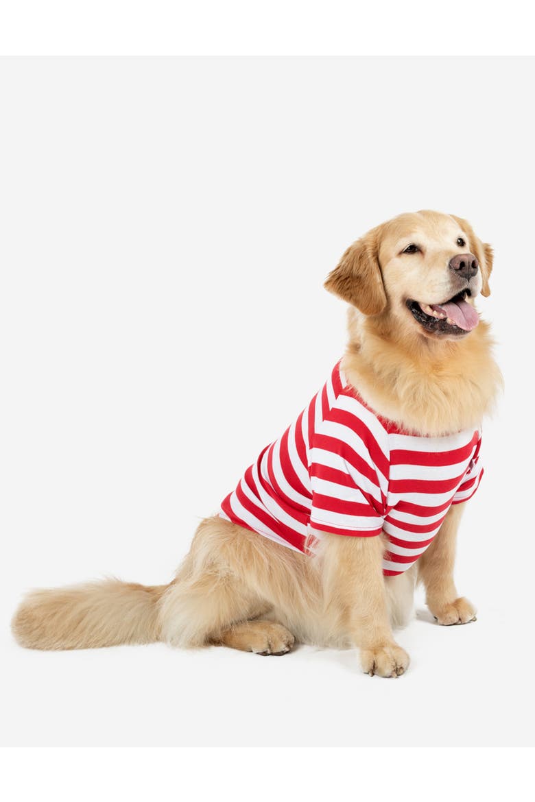 Dog Cotton Matching Family Holiday Pajamas, Main, color, Red & White