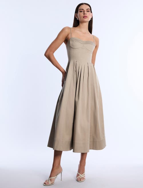 Bcbg Fit And Flare Dress In Neutral