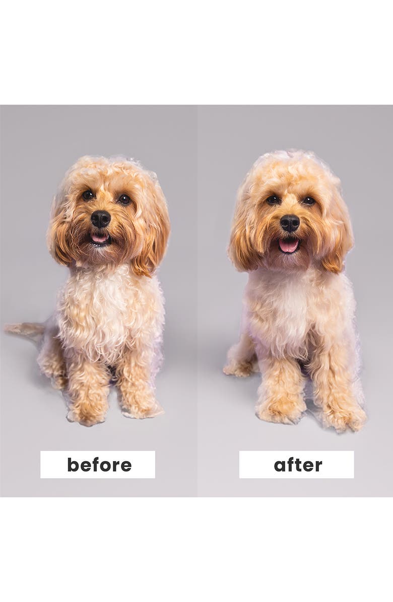 Tangle Teezer Small Detangling Dog Grooming Brush, Alternate, color,