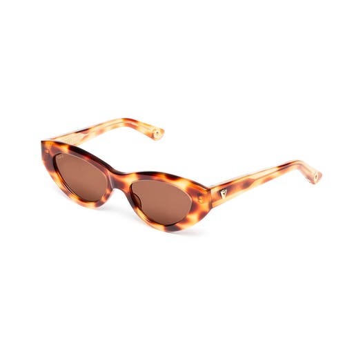 Vada Catfish Sunglasses In Multi