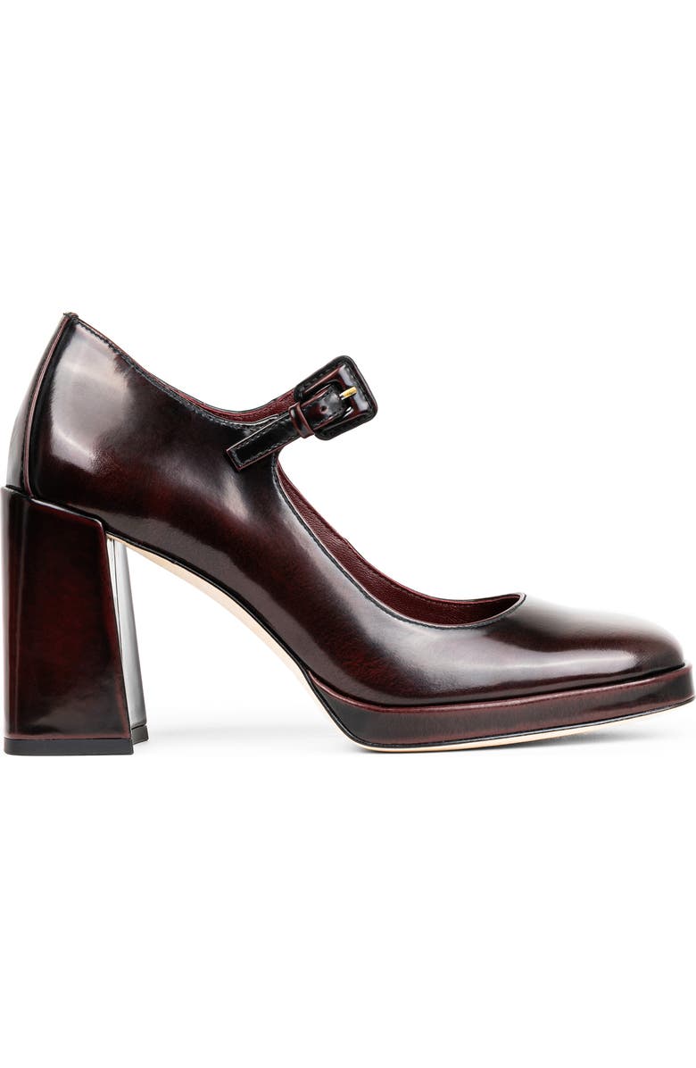 Donald Pliner Rosalita Platform Mary Jane Pump, Alternate, color,