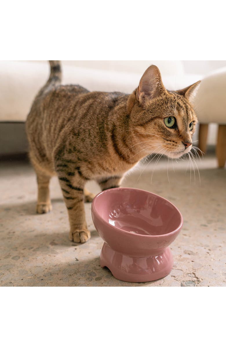 Dexypaws Elevated Ceramic Bowl For Cats 7oz Capacity, Alternate, color, Pink
