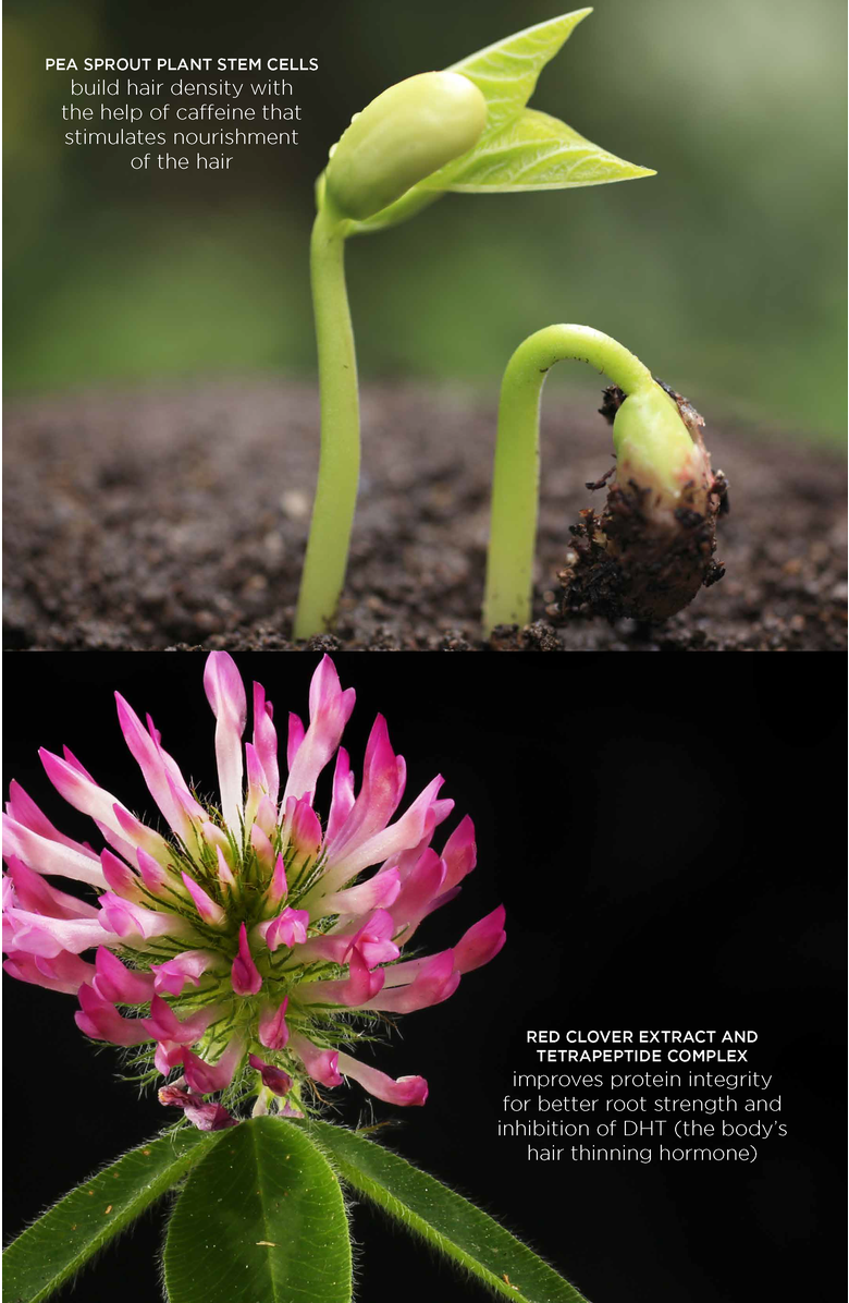 Intelligent Nutrients Pure Plenty<sup>®</sup> Nourishing Scalp Serum, Alternate, color, NO COLOR