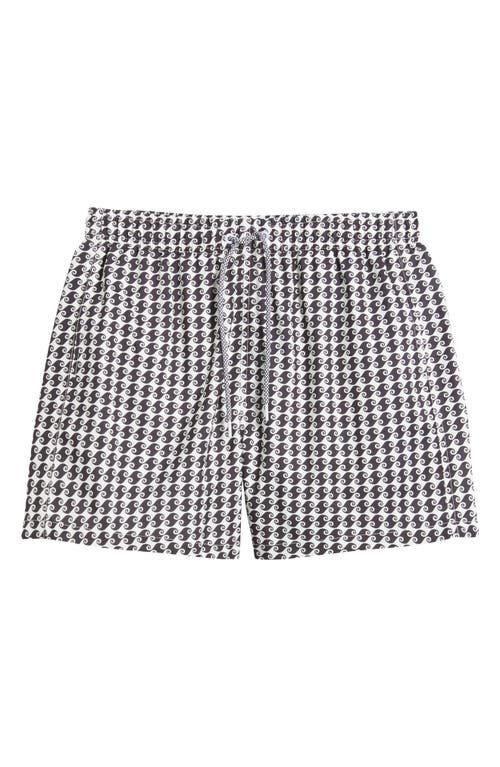 Boardies Printed Short Swim Trunks In Blue