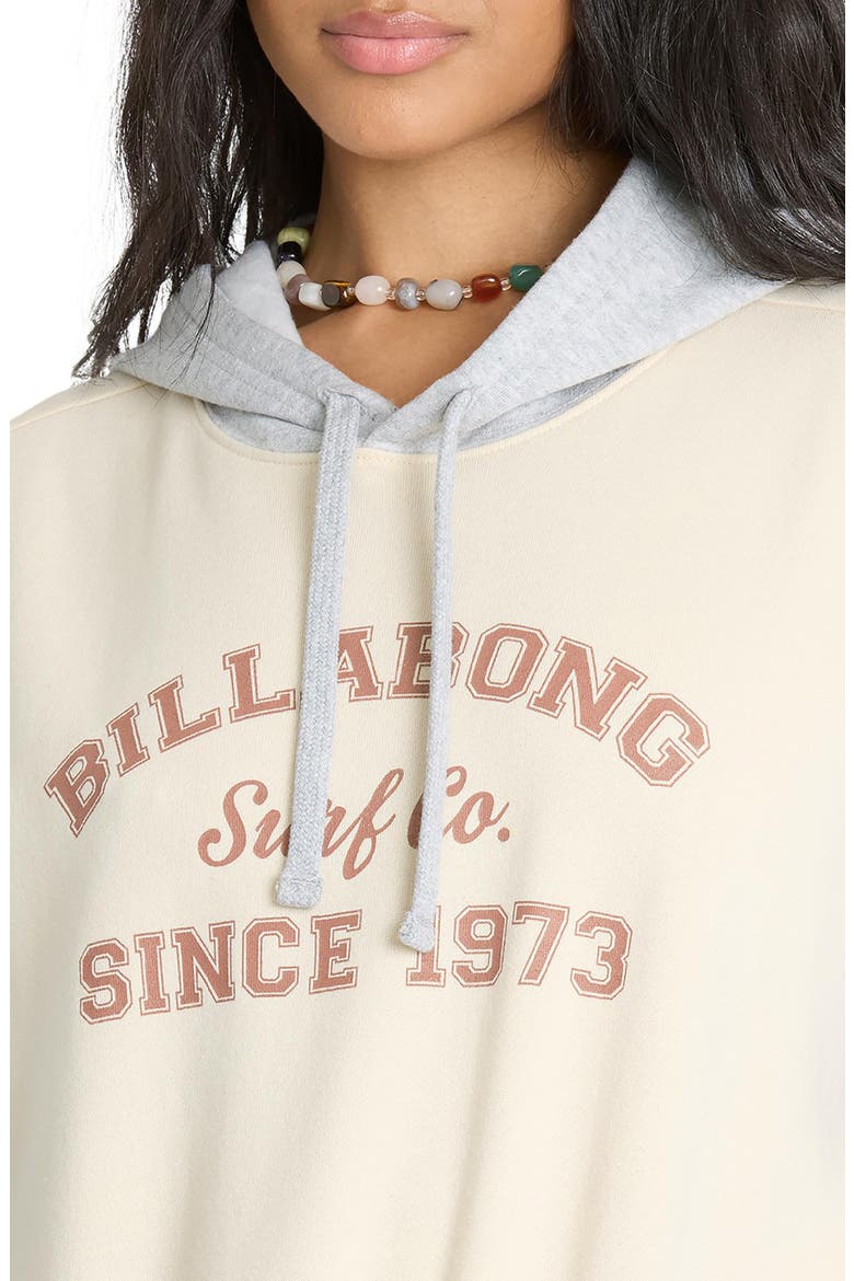 Gold Coast Hoodie, Alternate, color, SALT CRYSTAL