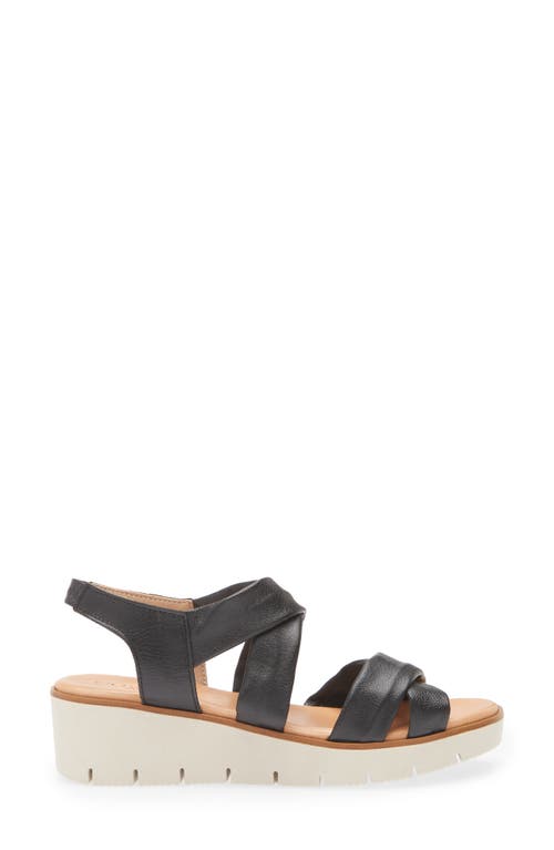 Cordani Margo Wedge Sandal In Black
