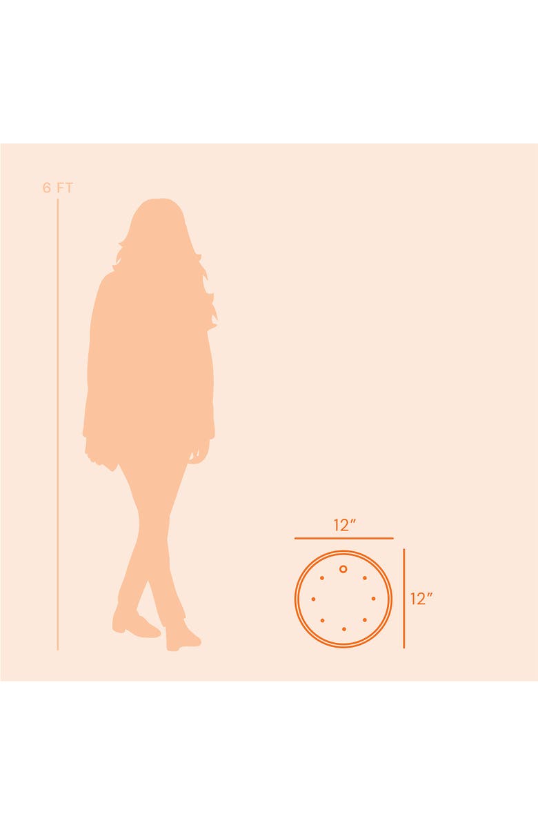 Bloem Ups A Daisy Round Planter Lift Insert 12 Inch Orange, Alternate, color, Orange