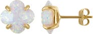 FZN 10K Gold Quatrefoil Stud Earrings