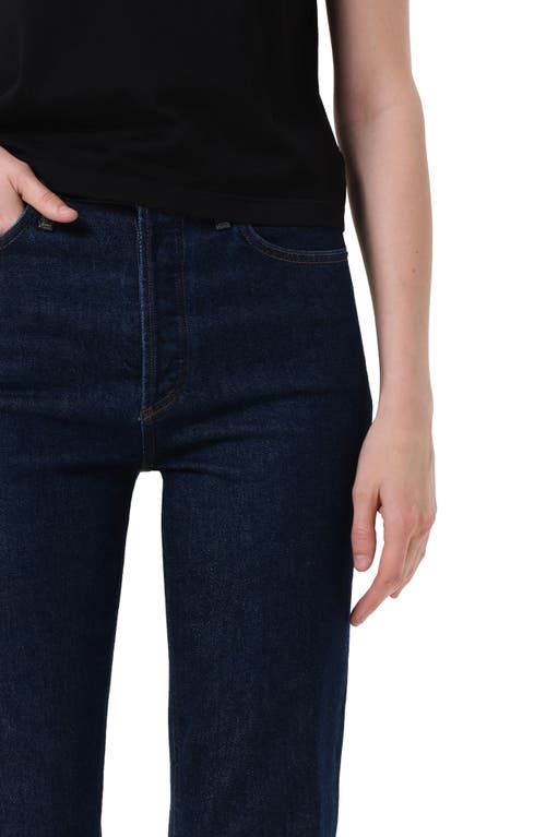 Agolde '90s Pinch Waist High Waist Straight Leg Jeans In Animal Print