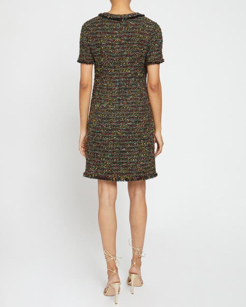 Santorelli Shea Short Sleeve Shift Dress In Sage Multi