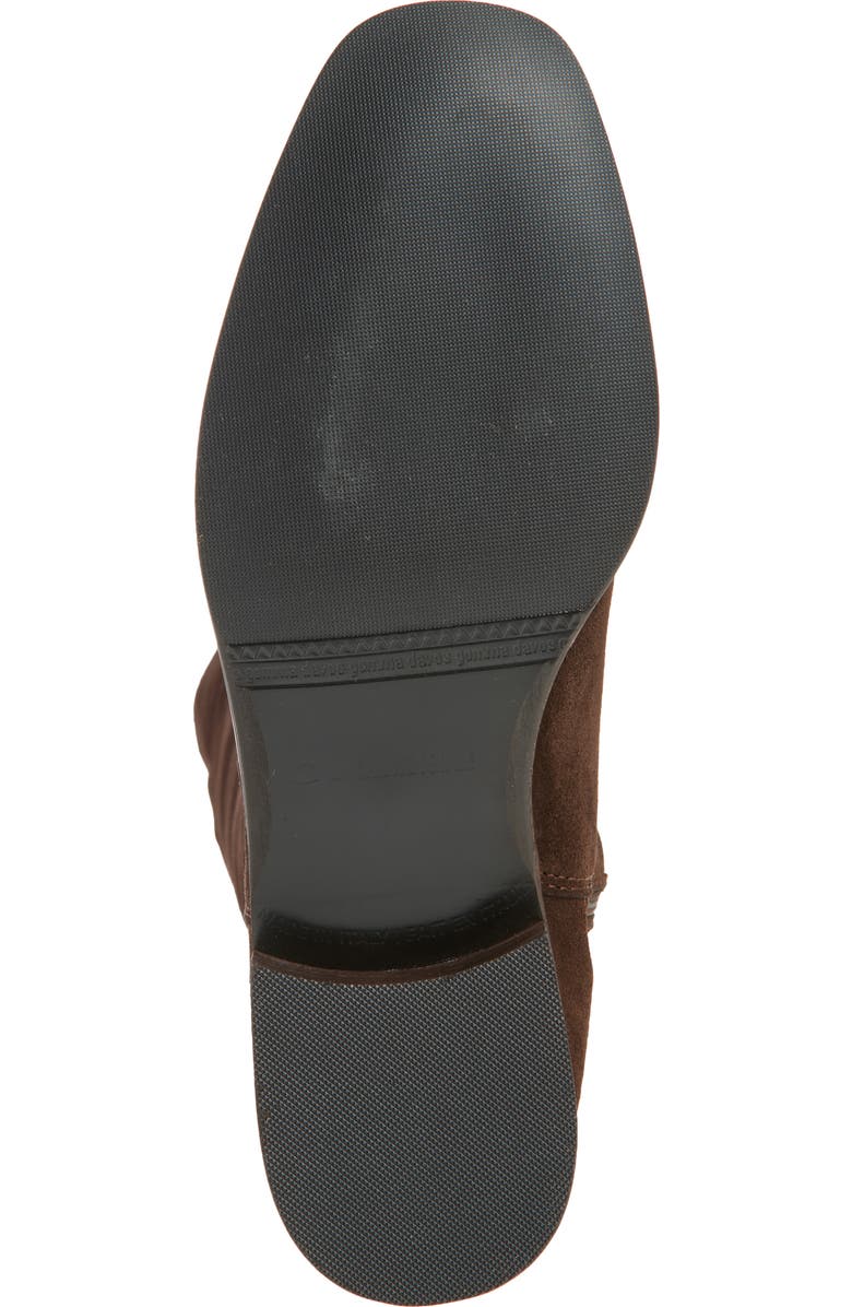 La Canadienne Segal Waterproof Tall Boot, Alternate, color, Brunette