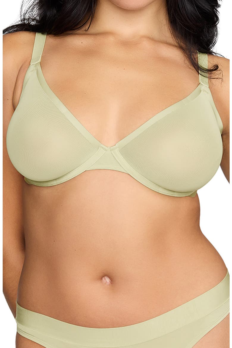 The Plunge Underwire Sheer Mesh Bra, Main, color, MEADOW