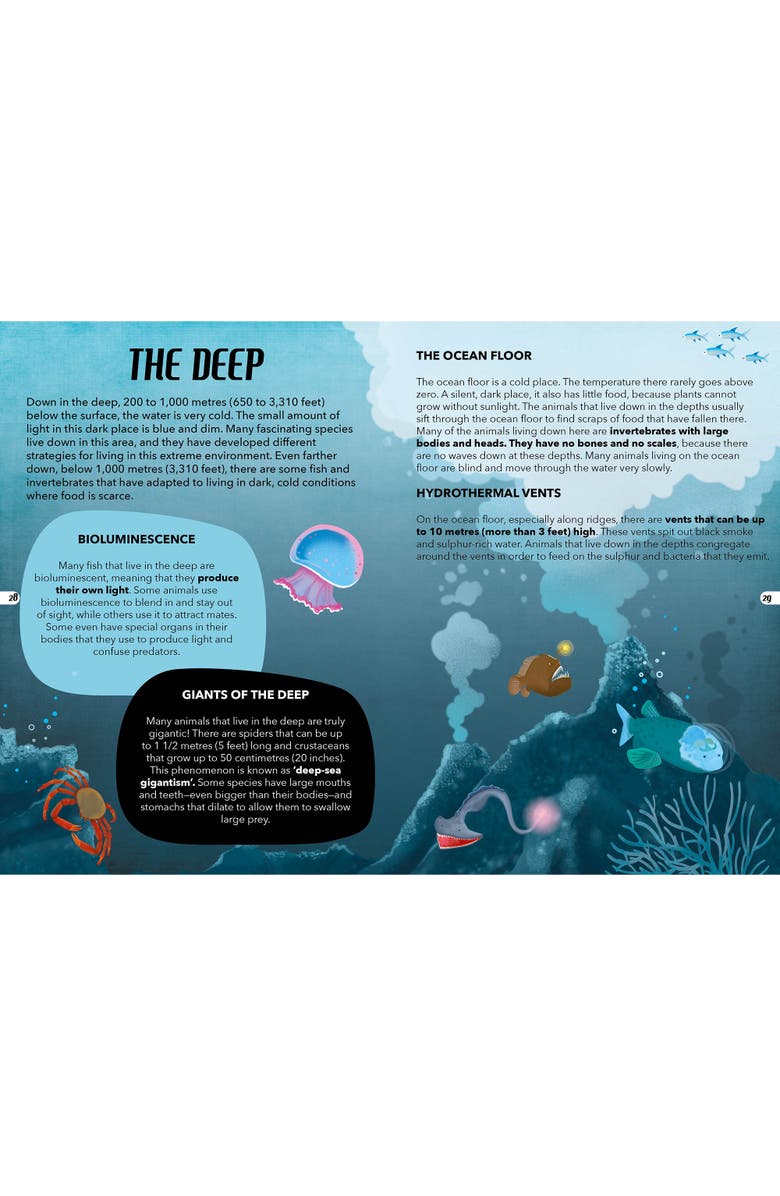 Sassi The Sea 205 Piece Puzzle and Book Set, Alternate, color, Multicolored