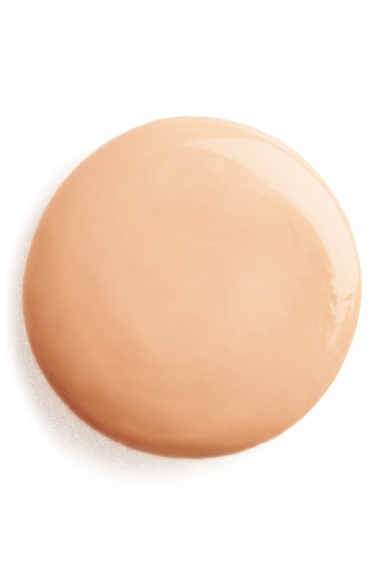 Phyto-Teint Expert All-Day Long Flawless Skin Care Foundation, Alternate, color, 0 PORCELAINE