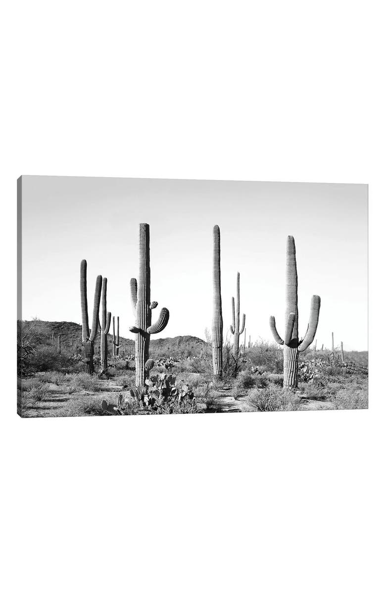 iCanvas 'Gray Cactus Land' by Sisi & Seb Canvas Artwork, Main, color, 