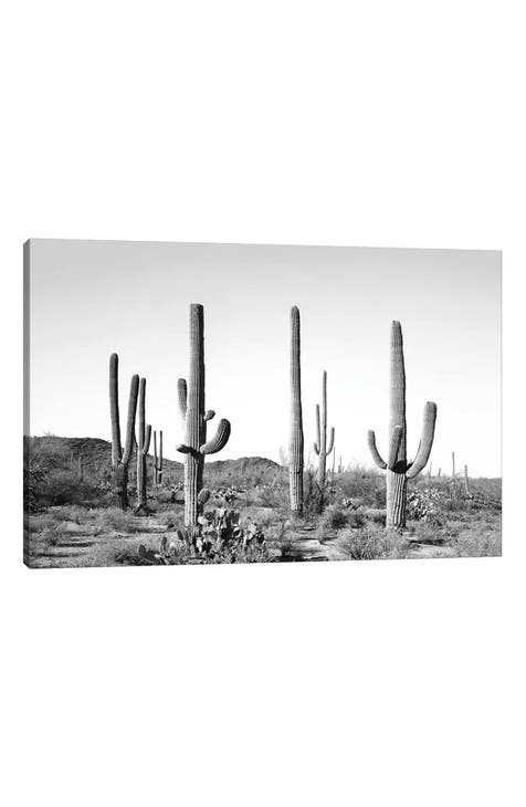 'Gray Cactus Land' by Sisi & Seb Canvas Artwork