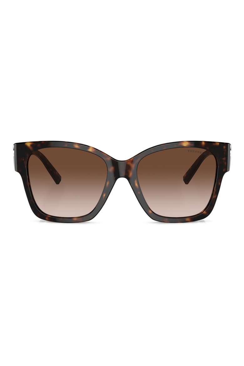 54mm Gradient Square Sunglasses, Main, color, HAVANA