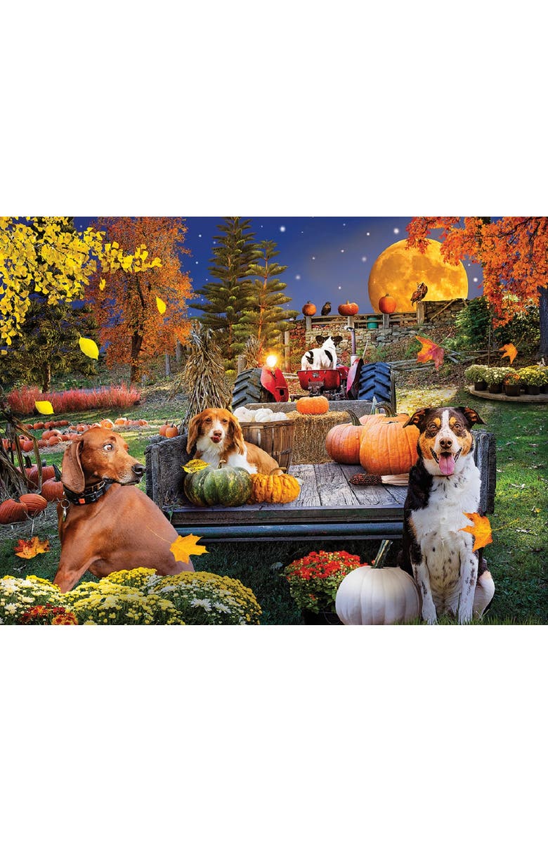 Sunsout Harvest Hayride 1000 piece Jigsaw Puzzle for Adults, Alternate, color, Multicolor