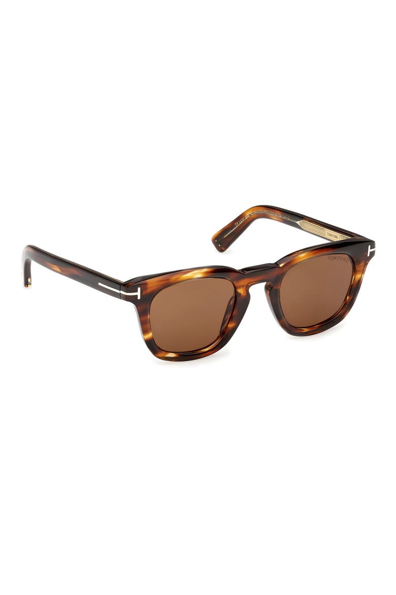 48mm Square Sunglasses, Alternate, color, STRIPED BROWN HAVANA / BROWN