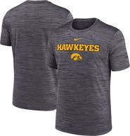 Nike Men's Nike Black Iowa Hawkeyes 2025 Sideline Velocity Performance T-Shirt