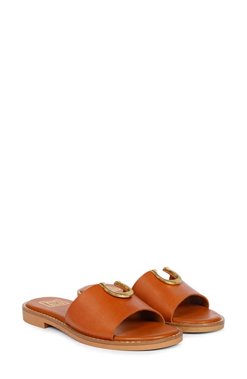 Saint G Amber Slide Sandal In Cognac