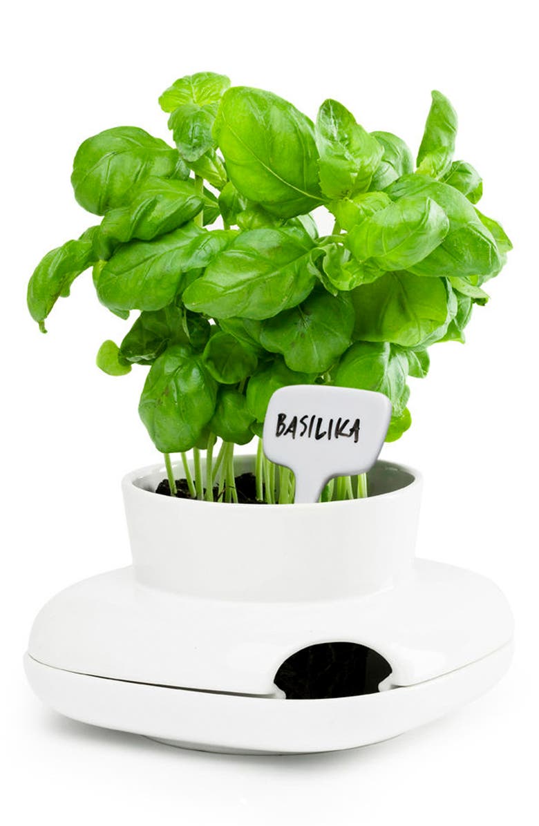 Sagaform Small Herb Pot, Main, color, 