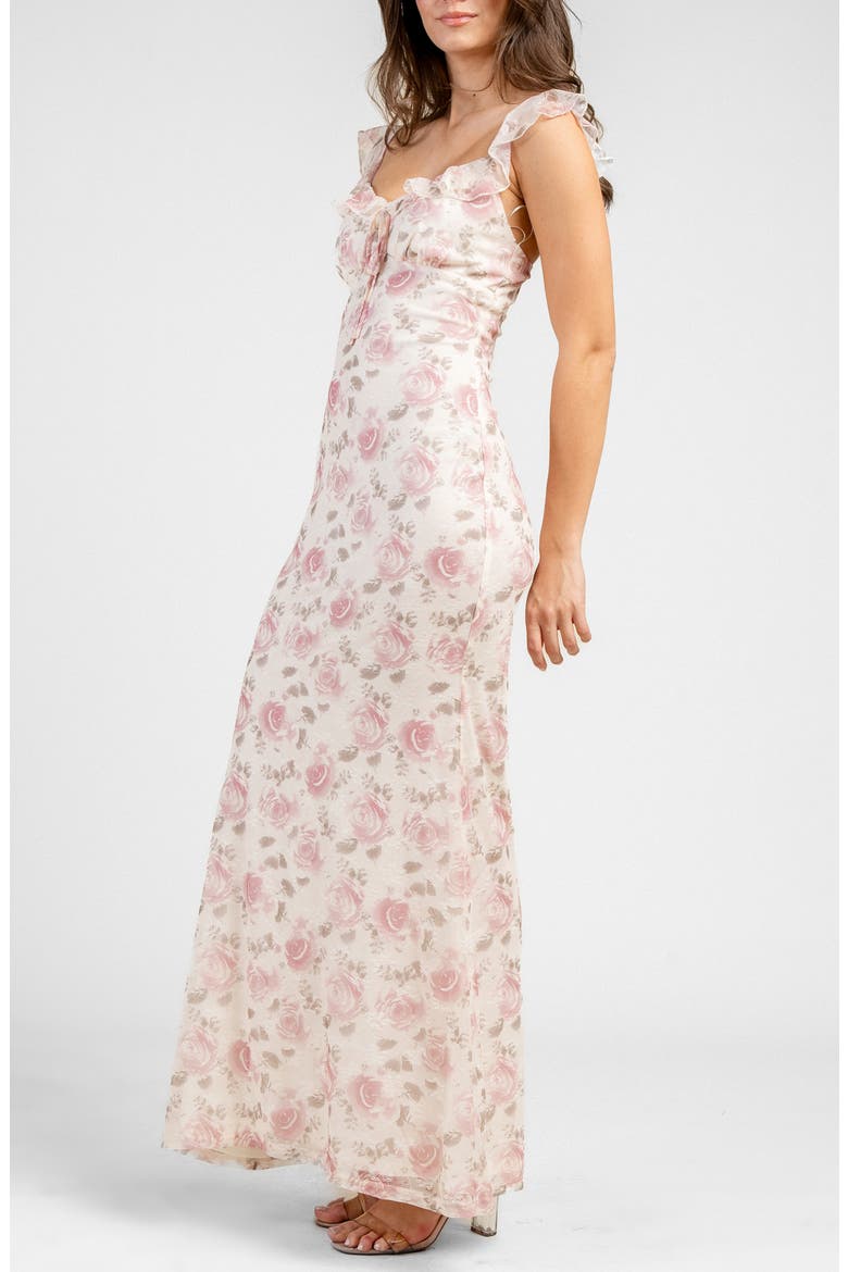 Printed Mesh Maxi Dress, Alternate, color, PINK
