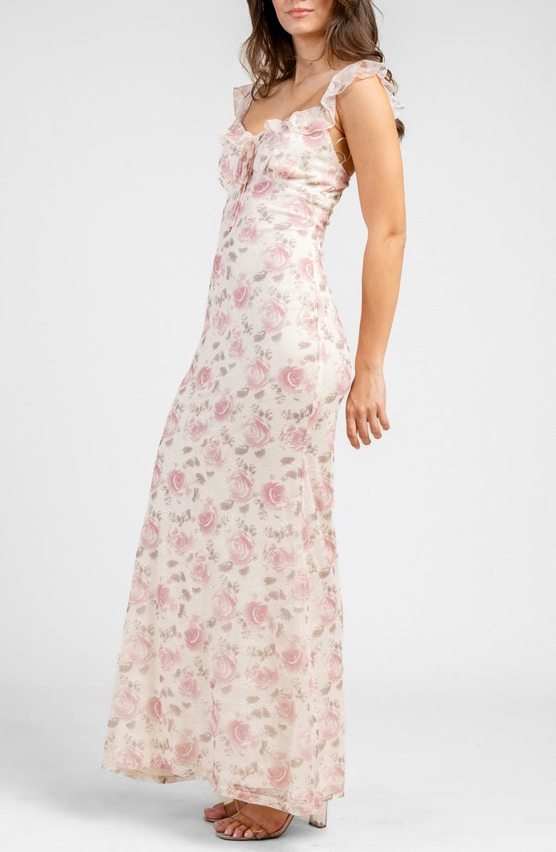 Beivy Printed Mesh Maxi Dress, Alternate, color, Pink