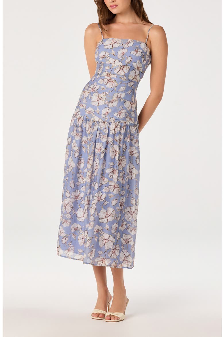 Ava Floral Drop Waist Midi Dress, Alternate, color, BLUE WHITE FLORAL