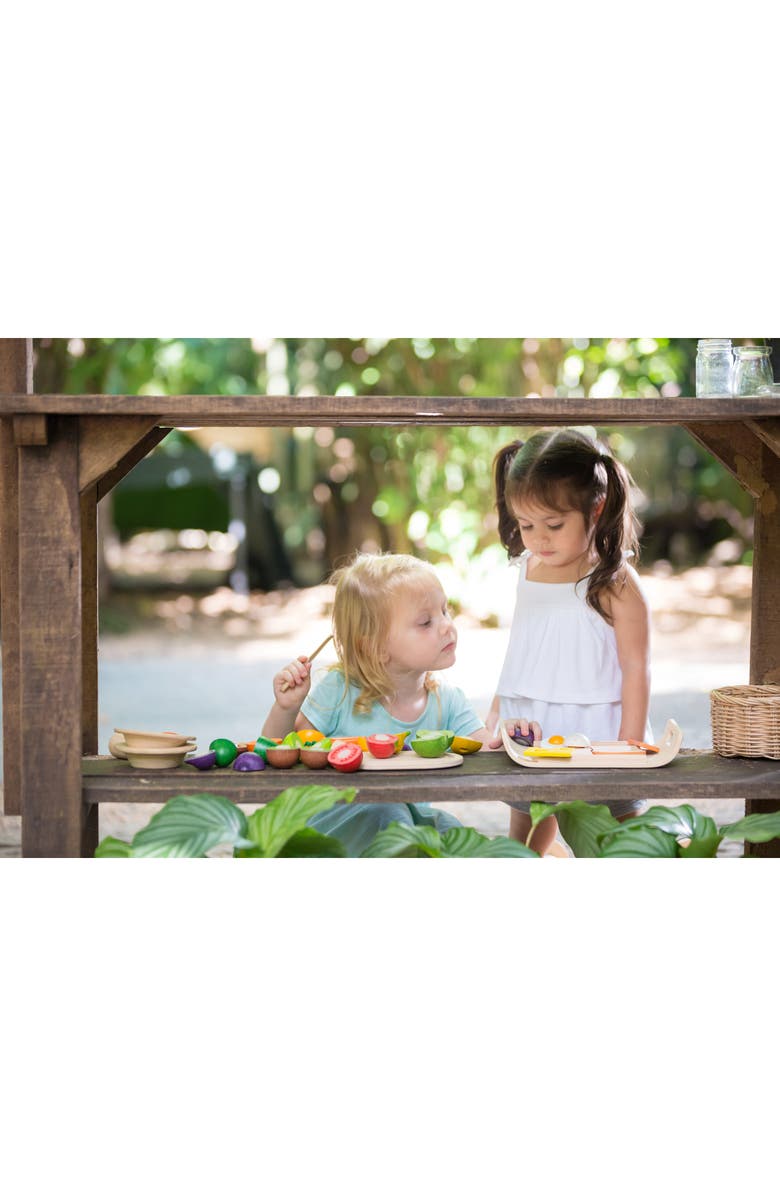 PlanToys<sup>®</sup> 14-Piece Assorted Fruit & Vegetable Tray Set, Alternate, color,