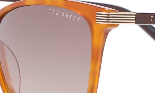 Ted Baker 57mm Gradient Square Sunglasses In Brown