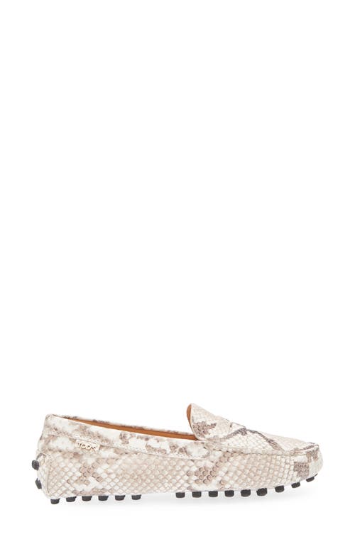 Tod's Snake-effect Leather Driving Loafers In Gray
