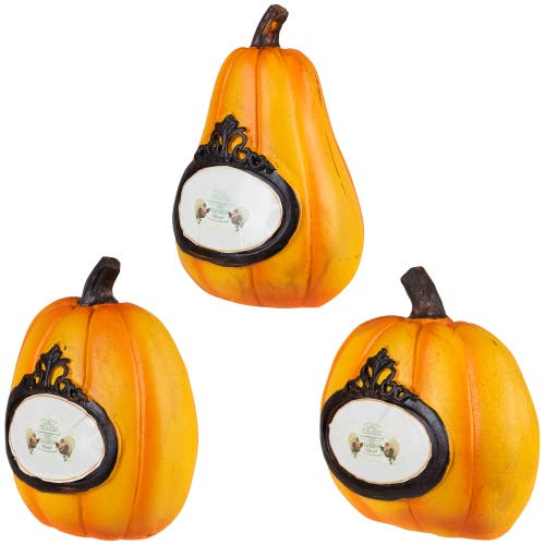 Northlight "thanks, Today, Tomorrow, Always" Fall Harvest Pumpkin Decorations In Yellow