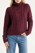 Lauren Ralph Lauren Combed Cable Knit Long Sleeve Turtleneck Sweater