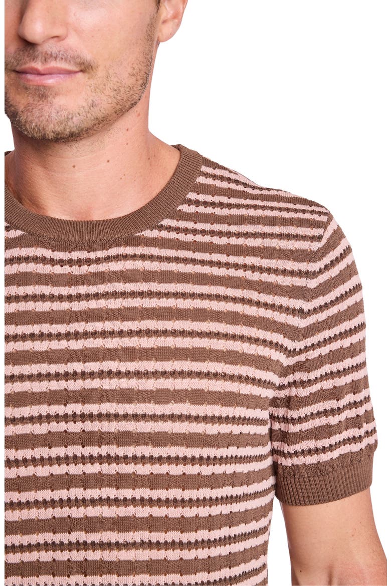 Stripe Short Sleeve Knit T-Shirt, Alternate, color, CHOCOLATE MOCHA BLUSH