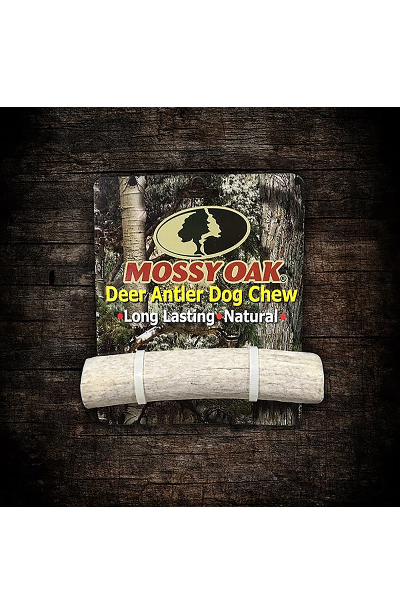 MOSSY OAK Deer Antler - Medium - Dog Chew, Whole Piece, Long-Lasting Pet Treat, Alternate, color, Multicolored